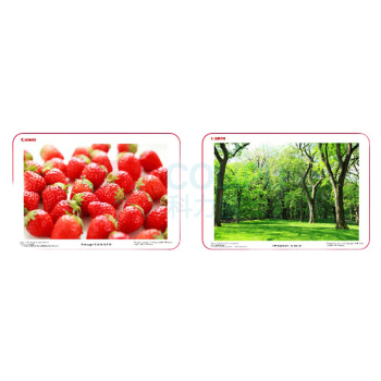 佳能 CANON 复合机 iR-ADVC3930 双面自动输稿器+双纸盒+工作台 标配 (白色)