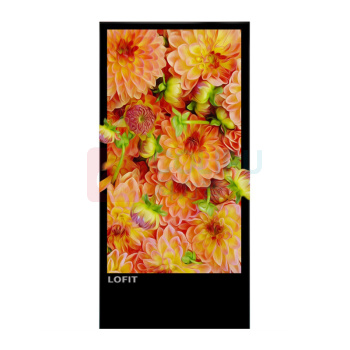 洛菲特 立式触摸广告机 LFT43QX-GC3 43英寸