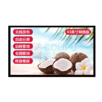 洛菲特 广告机 LFT43XD-BG1 43英寸 (黑色)