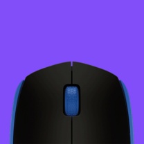 罗技 Logitech 无线鼠标 M171 苹果笔记本电脑鼠标 办公鼠标 对称鼠标 USB接收器 