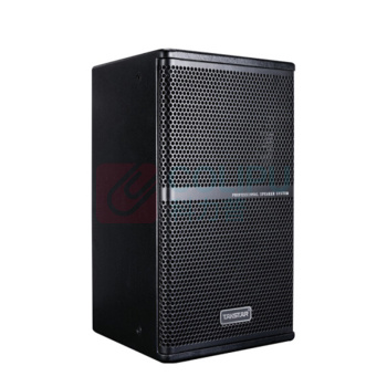 得胜 TAKSTAR BOSE音响线性列阵扬声器 EKS-081 (8寸返听) (黑色)