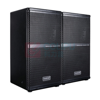 得胜 TAKSTAR BOSE音响线性列阵扬声器 EKS-081 (8寸返听) (黑色)
