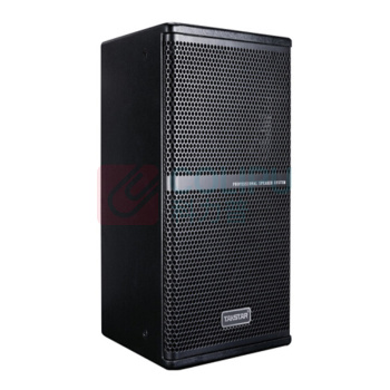 得胜 TAKSTAR BOSE音响线性列阵扬声器 EKS-081 (8寸返听) (黑色)