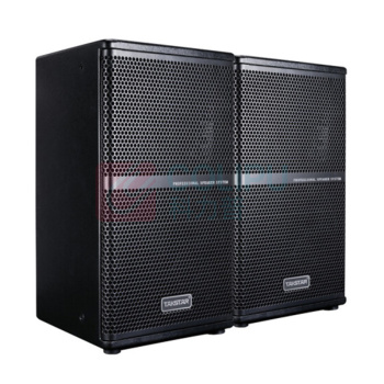 得胜 TAKSTAR BOSE音响线性列阵扬声器 EKS-081 (8寸返听) (黑色)