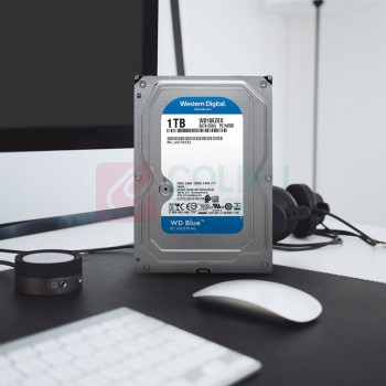 西部数据 WD 台式机械硬盘 WD10EZEX 蓝盘 1TB 