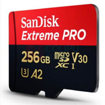 闪迪 SANDISK TF存储卡 SDSQXCZ-256G-ZN6MA 256GB 至尊超极速