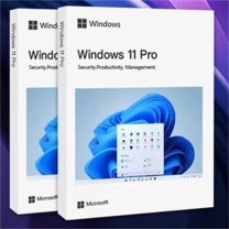 操作系统 正版windows10专业版彩盒/操作系统