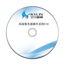银河麒麟 银河麒麟服务器操作系统 SP3 V10 SP3 1个/个 个