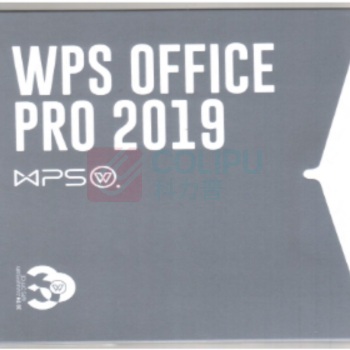 金山 WPS Office 2019专业增强版 带VBA+PDF 