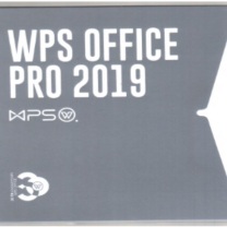 金山 WPS Office 2019专业增强版 带VBA+PDF 