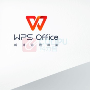 金山 WPS Office 2019专业增强版 带VBA+PDF 