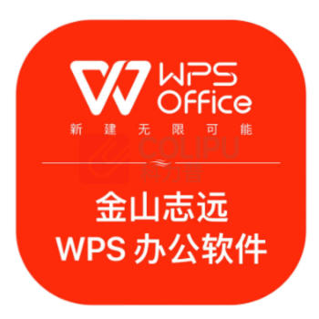 金山 WPS 办公软件 V11 一年服务 系统