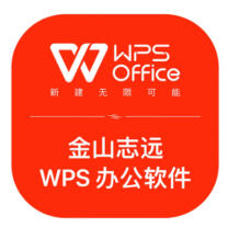 金山 WPS 办公软件 V11 一年服务 系统
