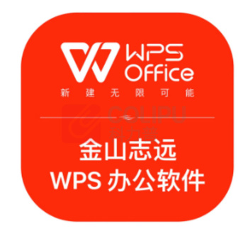 金山 WPS 办公软件 V11 一年服务 系统