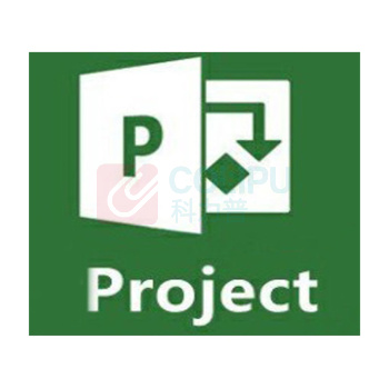 微软microsoft project 2019 standard 标准版 -晨光科力普办公用品