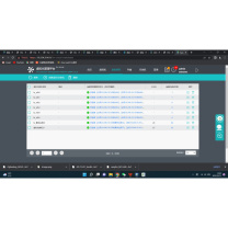 深信服科技 授权key VDI 虚拟桌面用户并发授权 接入授权(*100套);授权vKey1套 