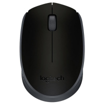 罗技 Logitech 鼠标 M171 无线鼠标 带2.4G接收器-USB (黑色)