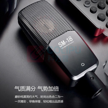 得胜 TAKSTAR 有线麦克风 MX1 Set (黑色)