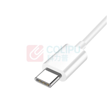 纽曼 Newmine 有线耳机 NM-LK06 type-c增强版 (白色)