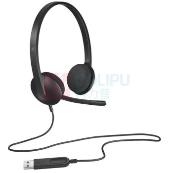 罗技 Logitech 电脑耳机麦克风 H340 USB接口 (黑色)
