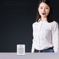 得胜 TAKSTAR 小蜜蜂 E300W 