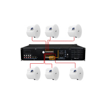 海康威视 HIKVISION 吸顶音响 D6 6个喇叭+主机