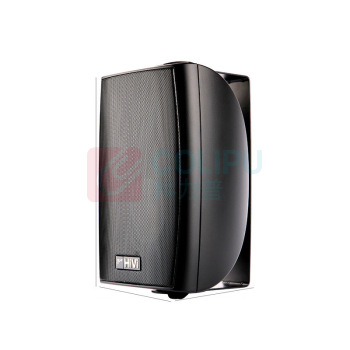 惠威 SWAN 4寸壁挂音响 20W/VA40S-T100