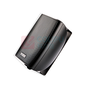 惠威 SWAN 4寸壁挂音响 20W/VA40S-T100