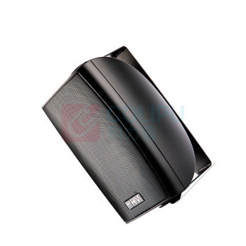 惠威 SWAN 4寸壁挂音响 20W/VA40S-T100