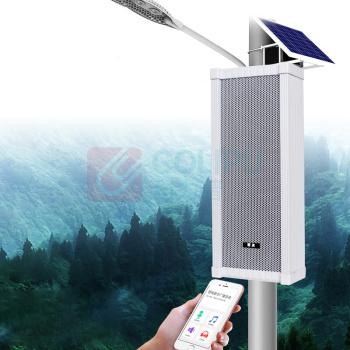 笛友 音箱 POE 100W