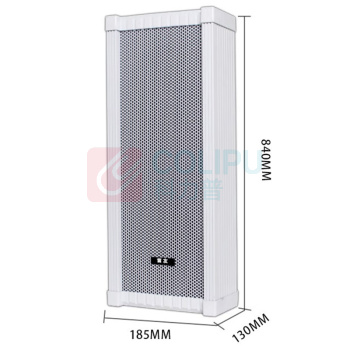 笛友 音箱 POE 100W