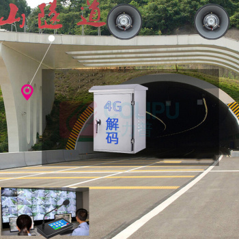 笛友 音箱 POE 100W