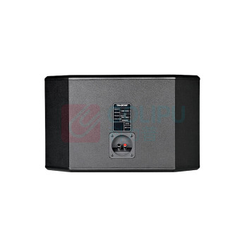得胜 TAKSTAR 卡拉OK音箱KTV卡包包厢卡拉家庭音响160W EKT-101 (黑色)