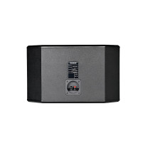得胜 TAKSTAR 卡拉OK音箱KTV卡包包厢卡拉家庭音响160W EKT-101 (黑色)