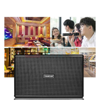 得胜 TAKSTAR 卡拉OK音箱KTV卡包包厢卡拉家庭音响160W EKT-101 (黑色)