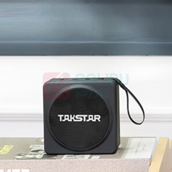 得胜 TAKSTAR 音响 E261W 含头戴麦