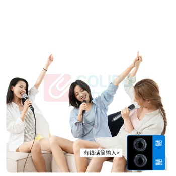 新科 SHINCO 有源音箱 H15 (黑色)