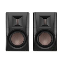 惠威 SWAN 2.0声道有源HIFI音响 D300