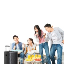 山水 sansui 拉杆音响 L15 419×470×772mm 450W USB (黑色)