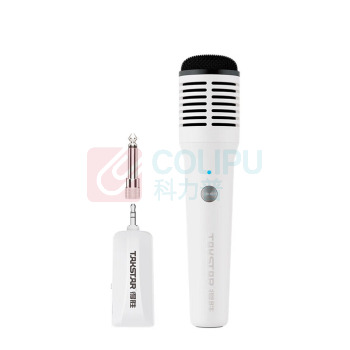 得胜 TAKSTAR 音响 HM-300W