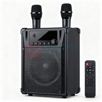 德顺 蓝牙音箱 DS112 双话筒+遥控器