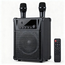德顺 蓝牙音箱 DS112 双话筒+遥控器