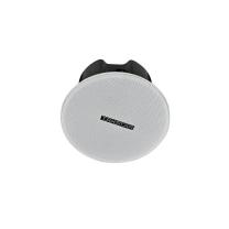 得胜 TAKSTAR 音箱 EBS-400 中206.5MMxH131MM 定阻吸顶音箱 会议餐厅背景音乐定阻吸顶天花喇叭 家庭影院安装定制音响