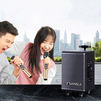 山水 sansui 音响 TE06 8英寸【户外拉杆】