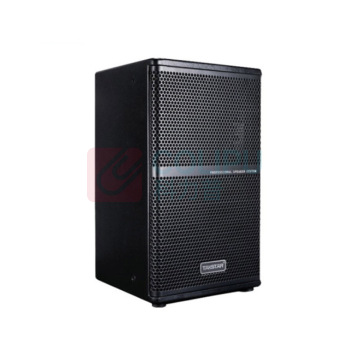 得胜 TAKSTAR BOSE音响线性列阵扬声器 EKS-081 (8寸返听) (黑色)