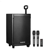 得胜 TAKSTAR 移动拉杆音箱 WDA-900L (黑色)