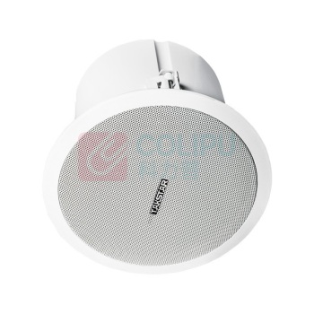 得胜 TAKSTAR 定阻吸顶音响 EBS-640 定阻吸顶音响