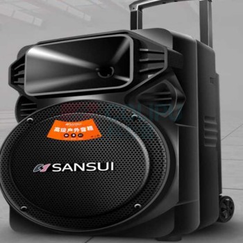 山水 sansui 广场舞音响音箱 蓝牙播放器 SS6-12 