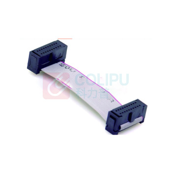 TELESKY 排线 12P(2*6P) 1m