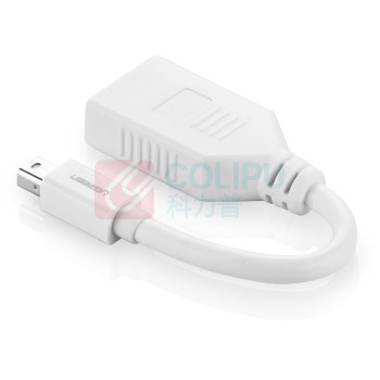 绿联 UGREEN Mini DP转DP转换器线 10445 